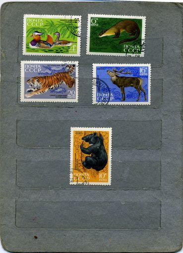 СССР, 1970 , СИХОТЭ АЛИНСКИЙ ЗАПОВЕДНИК,  серия 5м