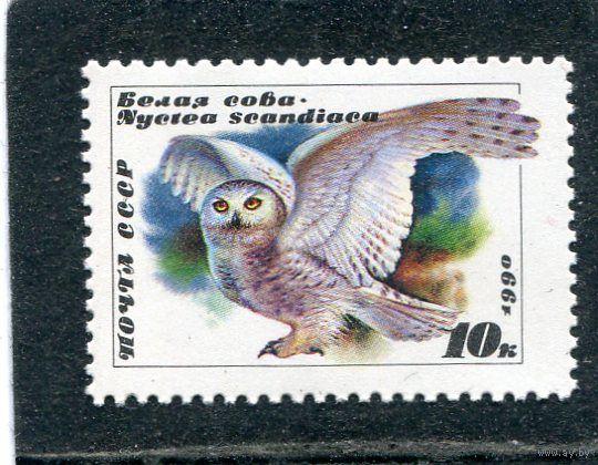 СССР 1990. Фауна. Белая сова