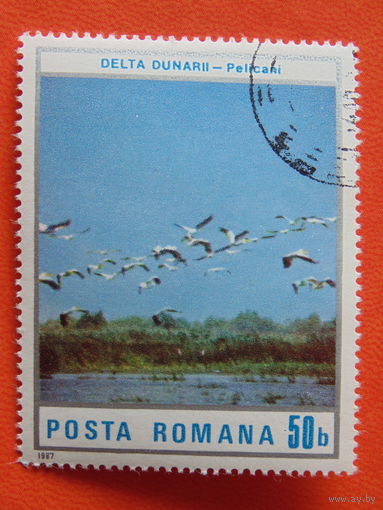 Румыния 1987г. Искусство.