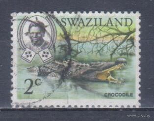 [1610] Свазиленд 1969. Фауна.Рептилии.Крокодил. Гашеная марка.