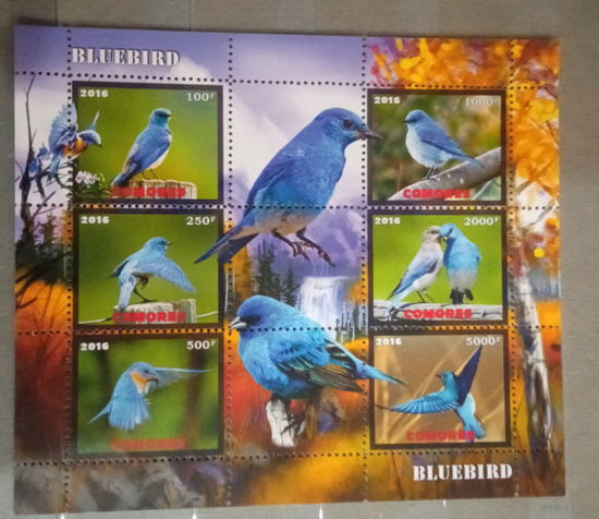 СЕРИЯ Блоков птицы  фауна MNH