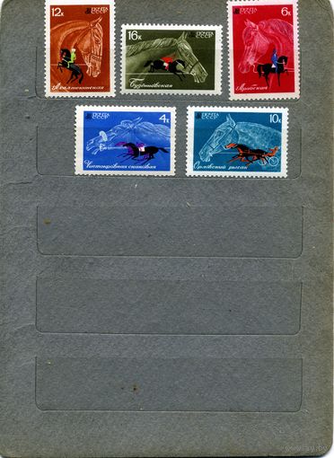 СССР, 1968,  КОНЕВОДСТВО** И КОННЫЙ СПОРТистая, серия 5м ч