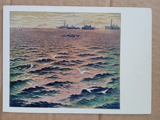 Флот. 1955. Бибиков. На рейде
