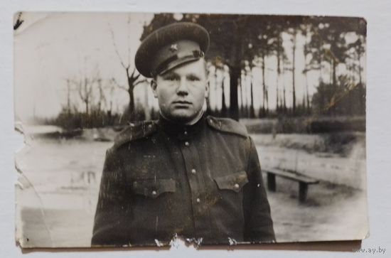 Фото в коллекцию