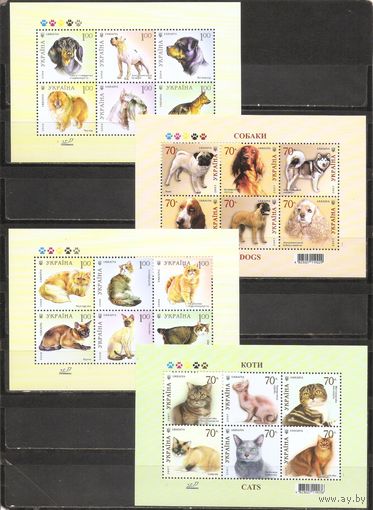 ФФ3 Украина 2007-08 Собаки Кошки