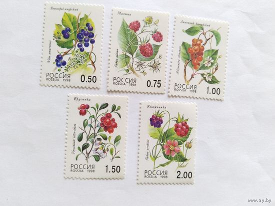 Россия 1998  5 м