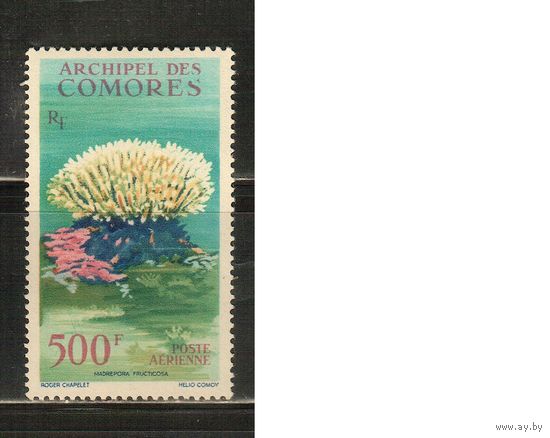 Коморы -1962(Мих.48),  ** ,   Морская  Фауна ,  (одиночка)