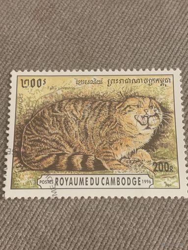 Камбоджа 1996. Тростниковый кот