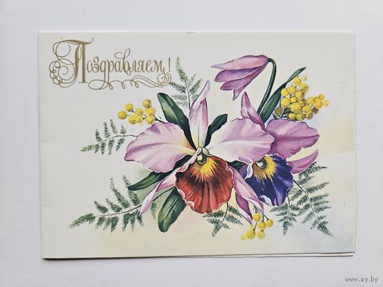 Куртенко 1994 Поздравляем Редкая