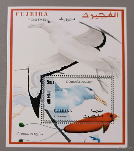 Чайка. Фуджейра. Блок