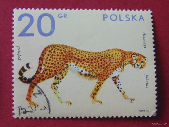 Польша 1972 г. Гепард.