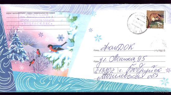 2007 год Птички