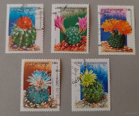Кактусы. Камбоджа, 2001