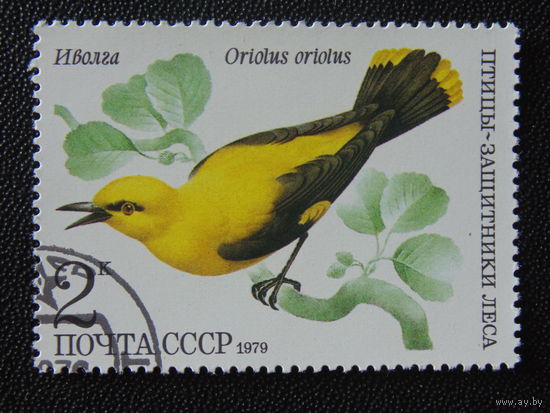 СССР 1979 г. Птицы.