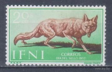 [577] Испанские колонии.Ифни 1957. Фауна.Шакал. БЕЗ КЛЕЯ.
