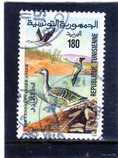 Тунис.  Mi:TN 1303. Грейлаг Гуз (Ансер). Серия: Национальный парк Ичкел. 1994.