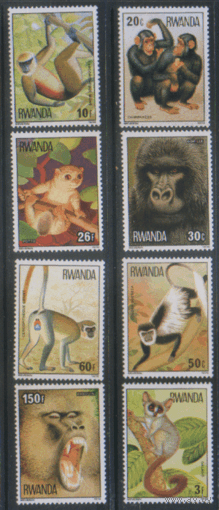РУАНДА. 1978. Обезьяны. чист.