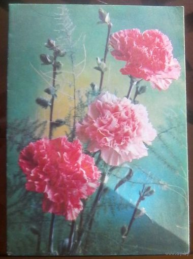1977 год Г.Костенко
