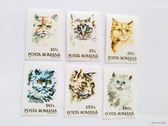 Румыния  1993 6 м кошки