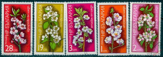 Болгария 1975 2374-2378 Фллора. Цветы. Растения