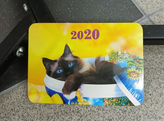 Календарик карманный 2020 сиамец кот