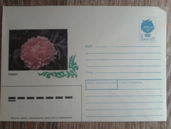 1991 хмк пион
