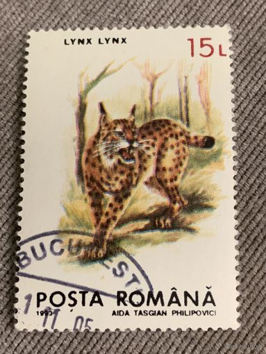 Румыния 1993. Дикие кошки. Марка из серии
