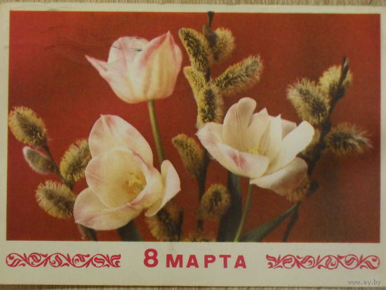 ПОДПИСАННАЯ ОТКРЫТКА СССР.ПРОШЕДШАЯ ПОЧТУ. "8 МАРТА". ФОТО. Г. КОСТЕНКО. 1974 год.