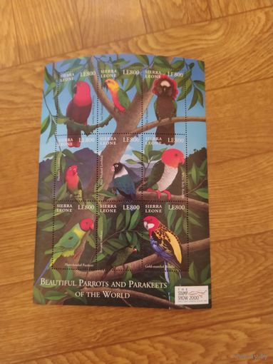 Сьерра Леоне малый лист 2000 г. Попугаи