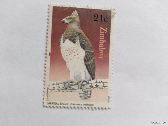 Зимбабве 1984
