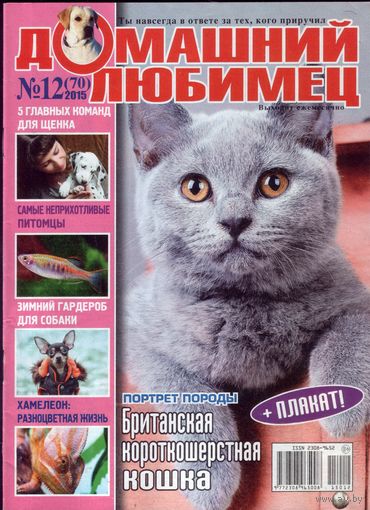 Домашний любимец #70