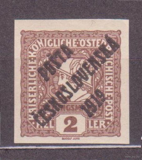 Чехословакия 1919 надпечатка на австрийских марках** //3