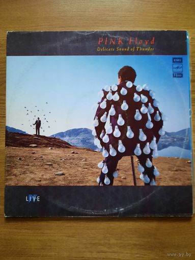 Виниловые пластинки Pink Floyd