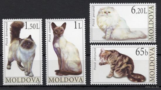 Молдова 2007. Фауна. Кошки 4 марки(289)
