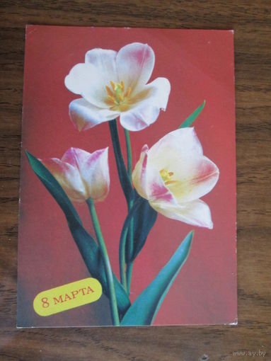 Почтовая карточка.1988г.