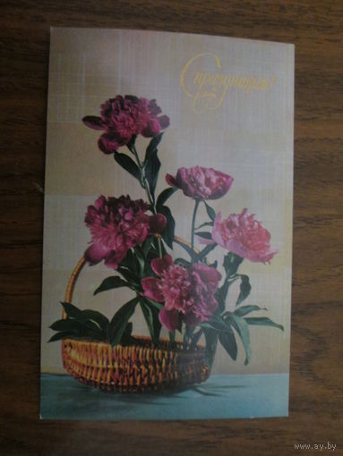 Почтовая карточка.1976г.