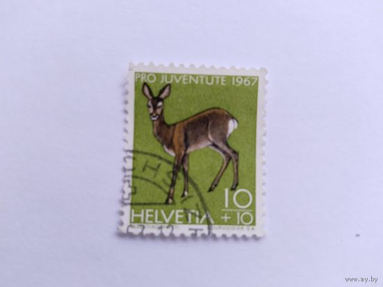 Швейцария  1967 косуля
