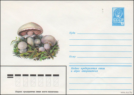 Художественный маркированный конверт СССР N 14354 (03.06.1980) Шампиньоны