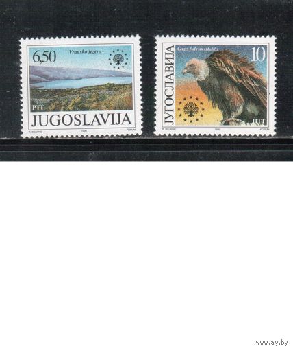 Югославия-1990,(Мих.2452-2453)  ** , Фауна,Птицы (полная серия)