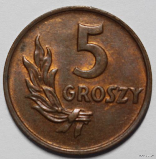 Польша, 5 грошей, 1949 год