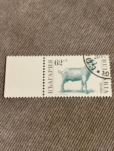 Болгария 1991. Домашний скот. Коза. Марка из серии
