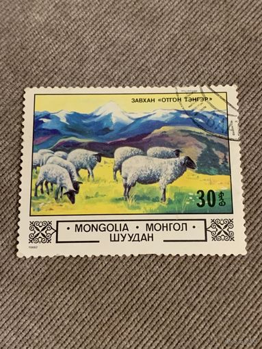 Монголия 1982. Отара овец. Марка из серии