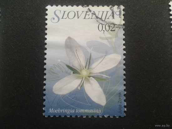 Словения 2007 стандарт, цветы