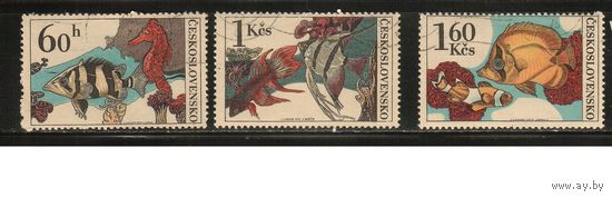 Чехословакия-1975(Мих.2260-2263) , гаш.  ,  Фауна, Рыбы