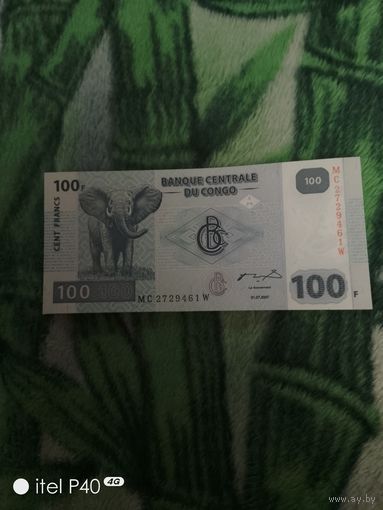 Конго 100