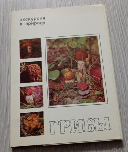Грибы. Экскурсия в природу. 24 из 25 открыток. 1980. Издательство "Планета".