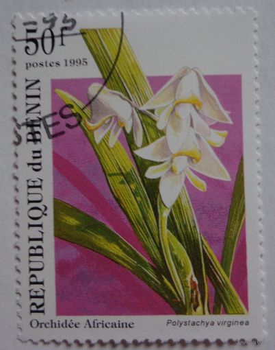 Бенин.1995.орхидея