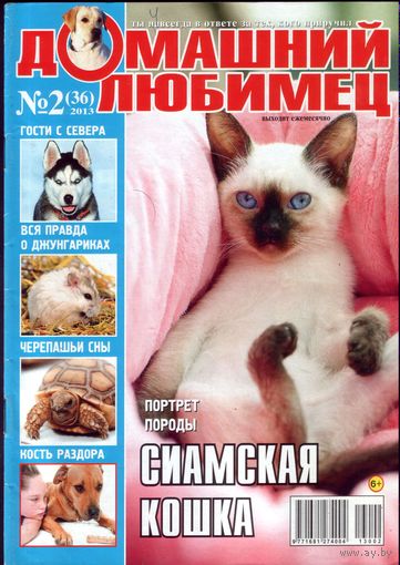 Домашний любимец #36