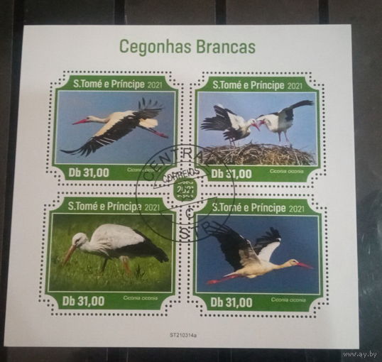 ЛИСТ ФАУНА ПТИЦЫ  СТО