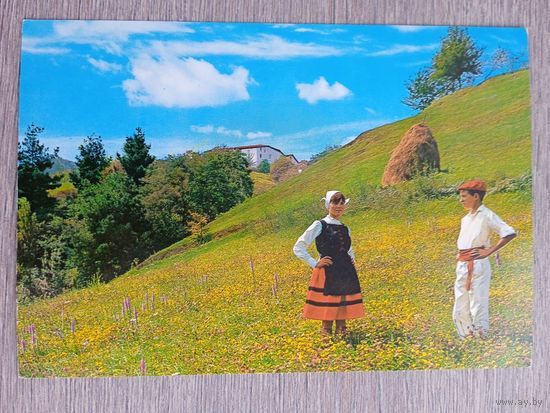 Этнография. Испания, Васконгадас. Пара в региональной одежде